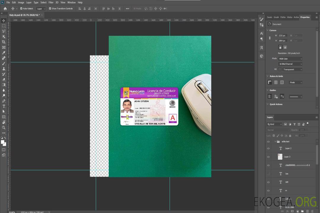 Mexique Nuevo Leon permis de conduire photolook AVANT template